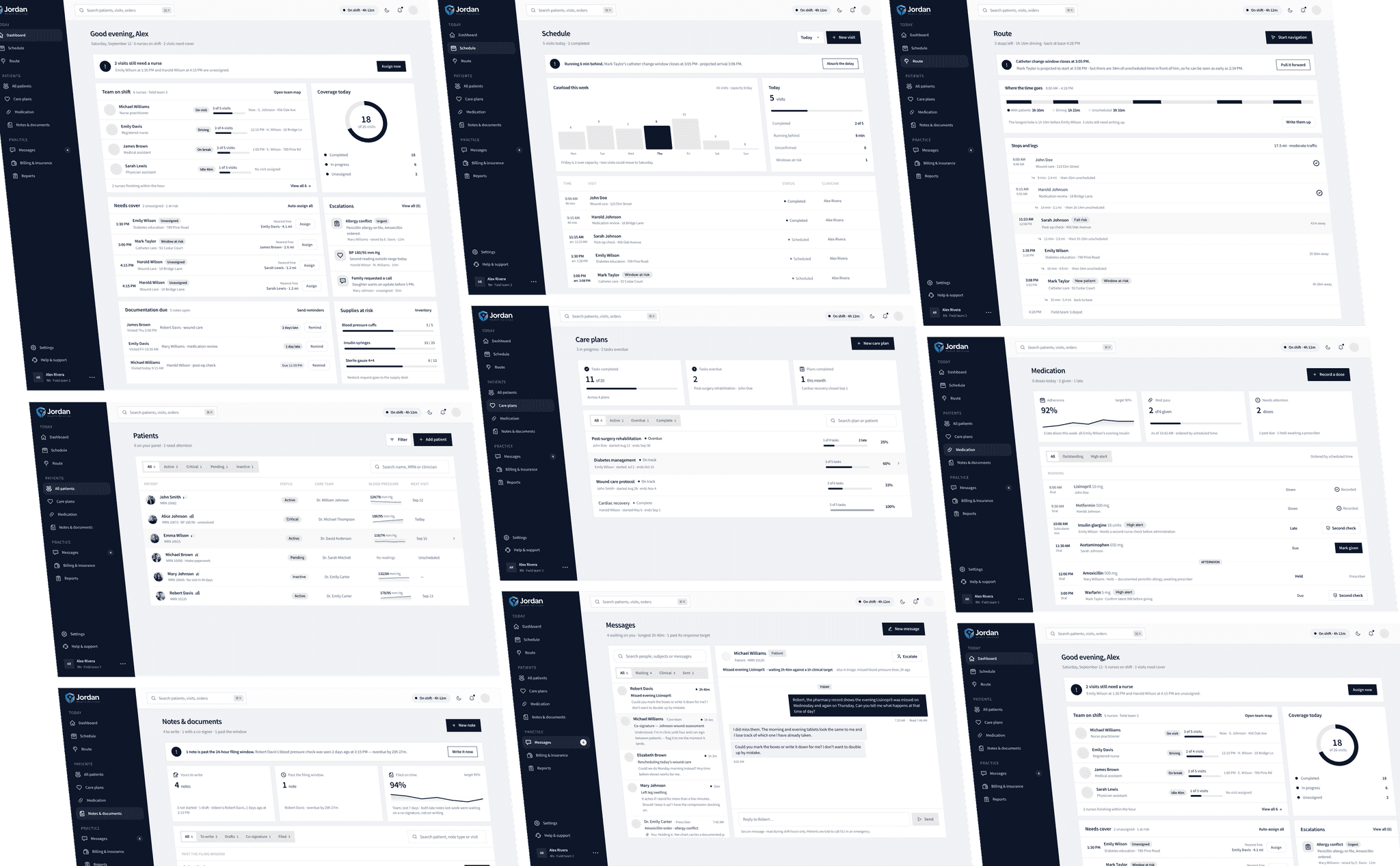 Low-fidelity wireframes for the dashboard, patients, appointments, and care plans.